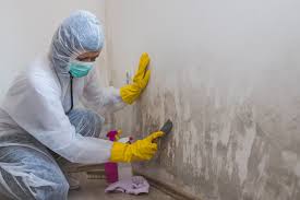 Asbestos and Lead Testing During Mold Inspection in Dunlap, IA